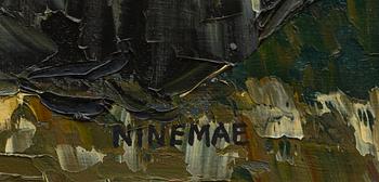 Boris Ninemae, Fiskare.