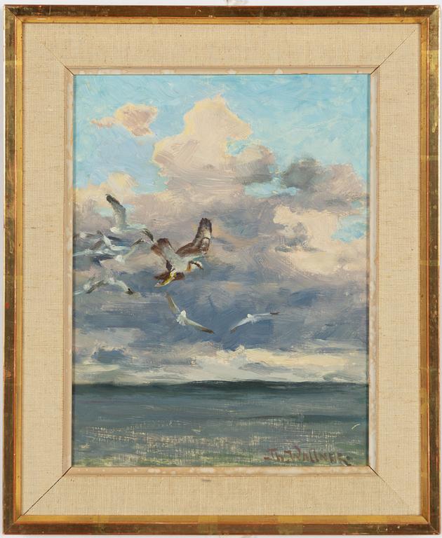 Thure Wallner, Sea birds.