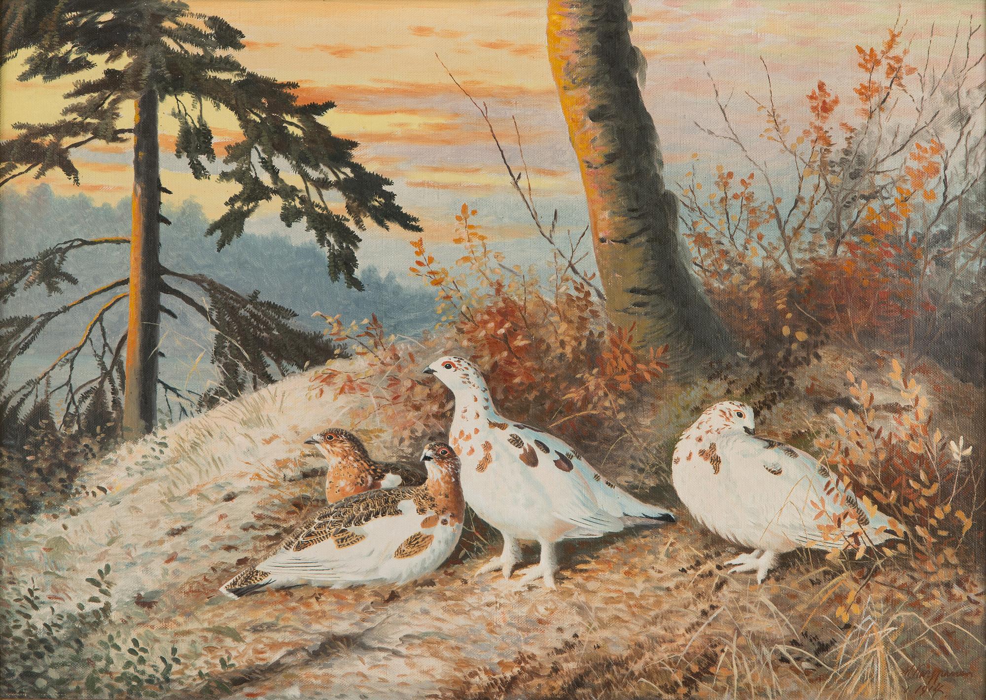 Matti Karppanen, Willow Grouse in the Woods.