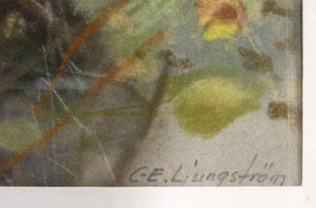 CARL ERIC LJUNGSTRÖM, pastell, sign.