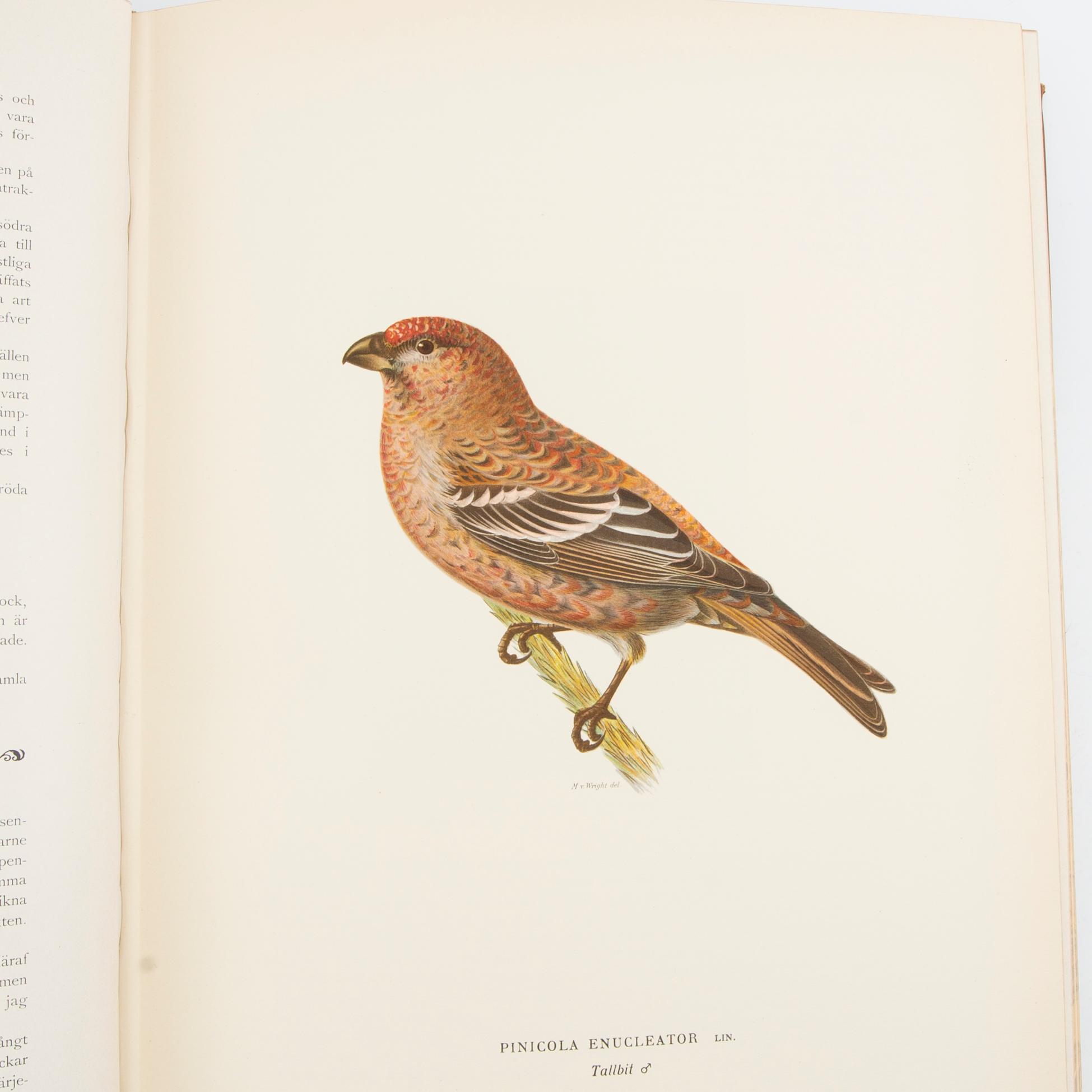 The von Wright Brothers, book works, 3 volumes, "Swedish Birds", A. Börtzells Printing Co. Ltd., Stockholm, 1924-1929.