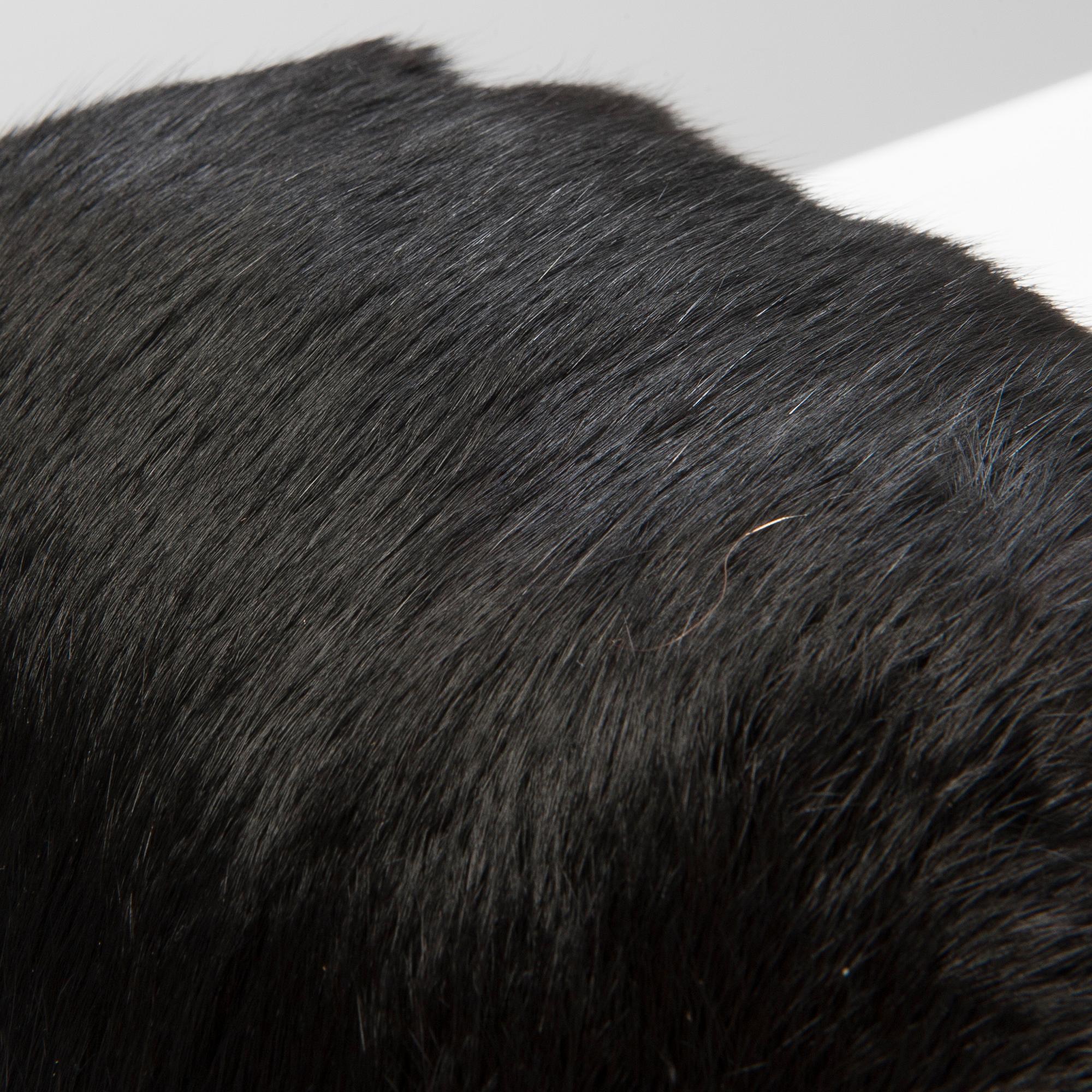 MUFF med KARTONG, Bisam, 1920-30-tal.