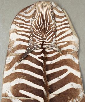 ZEBRASKINN, 1900-tal.