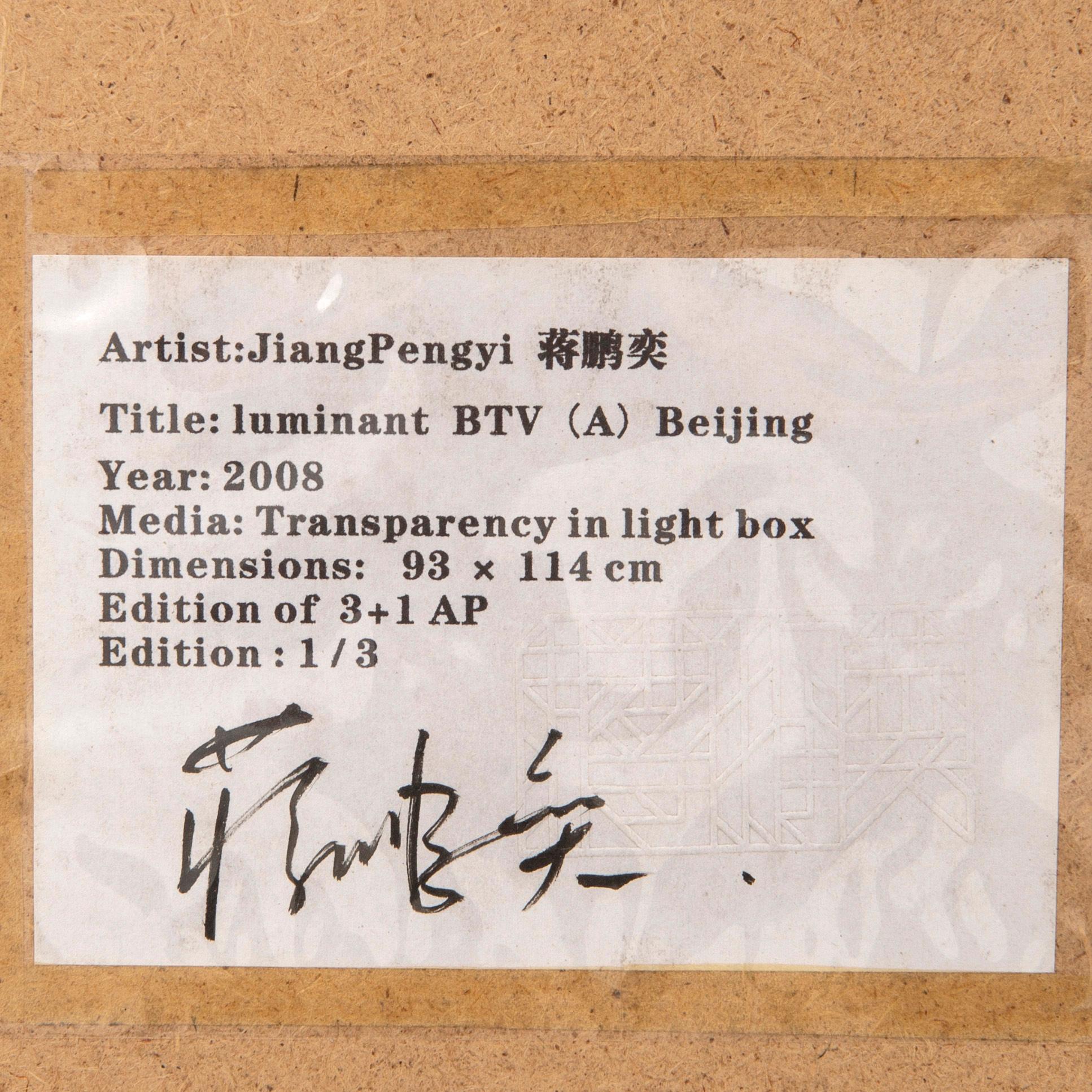 Jiang Pengyi, "Luminant: BTV (A)", 2008.