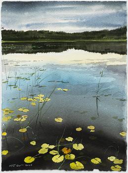 Peter Eugén, Water lily lake at dusk.