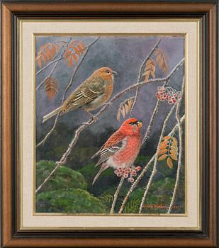 Niilo Vainio, Pine grosbeaks.