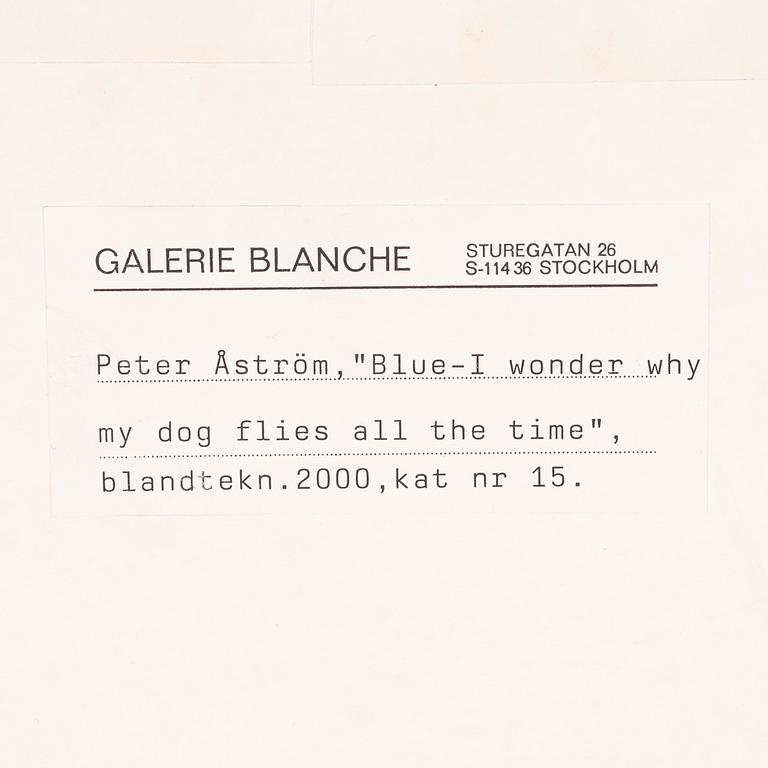 Peter Åström, " Blue- I wonder why my dog flies all the times".