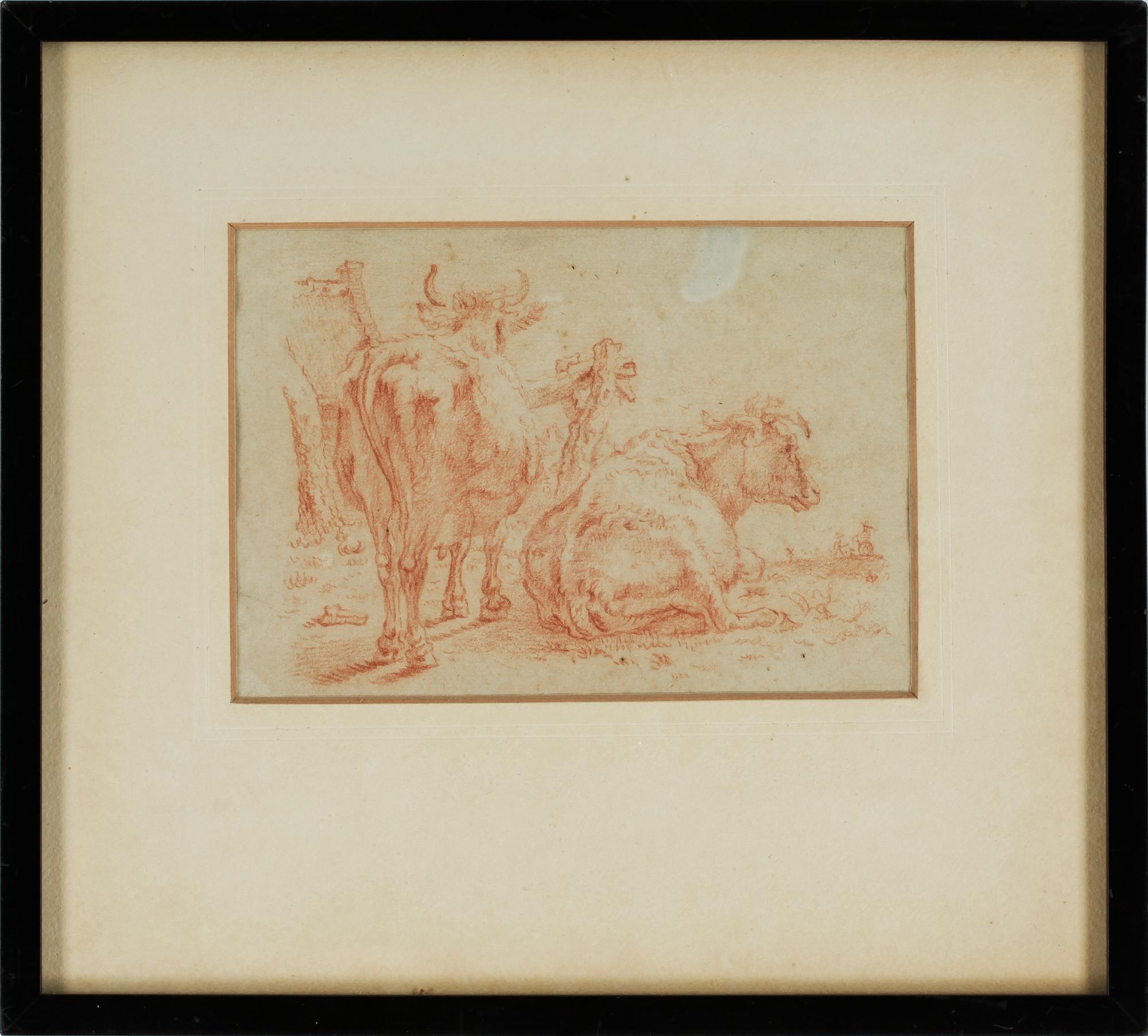 PAULUS POTTER, hans krets, rödkrita.