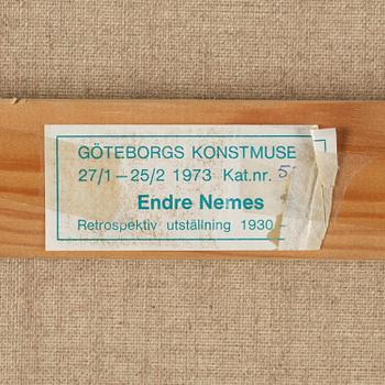 Endre Nemes, "Homo volans".