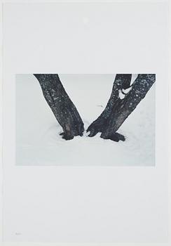 ANDREAS ERIKSSON, portfolio. Signed AE inside the box and numbered 18/250.