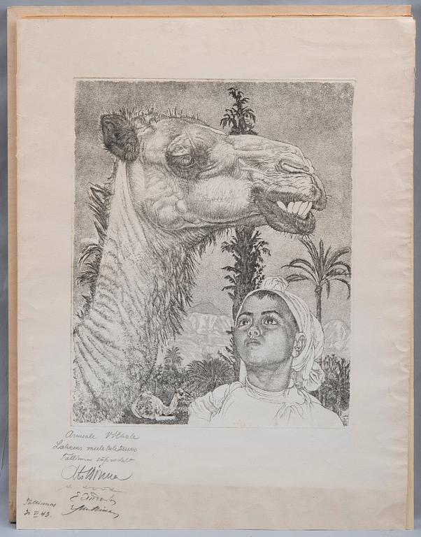 Eduard Wiiralt, "BERBERI TÜDRUK KAAMELIGA".