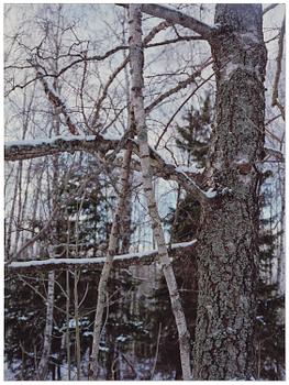 Andreas Eriksson, Untitled.