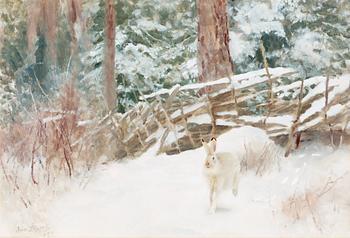 Bruno Liljefors, Winter landscape with hare.