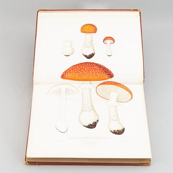 With 94 chromolithographs of mushrooms.