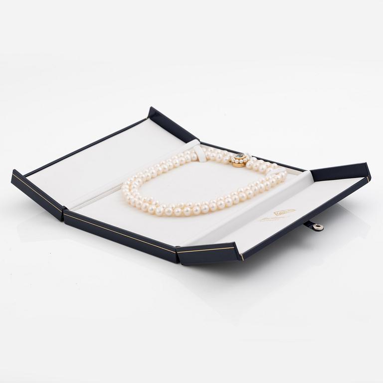 Pearl necklace, double-stranded with cultured freshwater pearls, clasp 18K gold set with aquamarine and cultured pearls, Jarl Sandin.