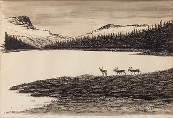 Berry Kurkkio, Reindeer by a mountain lake.