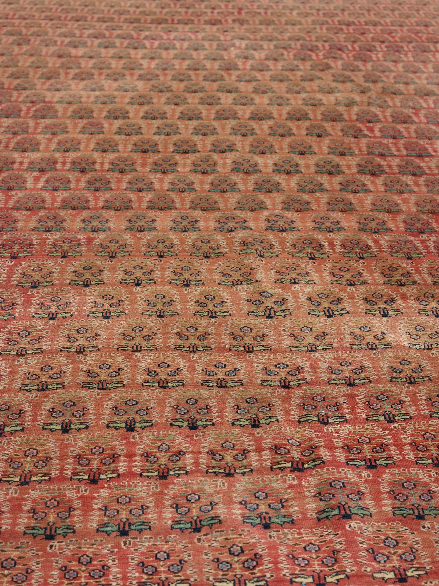 MATTA. Antik/semiantik Täbris. 663 x 412 cm.