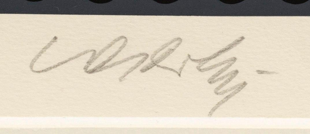 VICTOR VASARELY, färgserigrafi, signerad, 240/250.