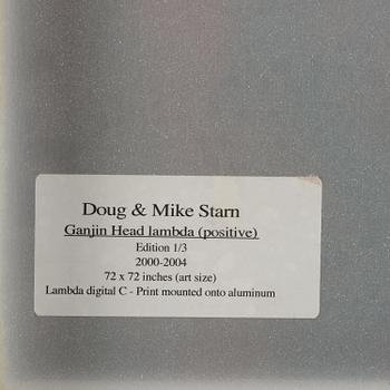 Mike & Doug Starn (Starn Twins), "Ganjin Head Lambda (positive)", 2000-2004.