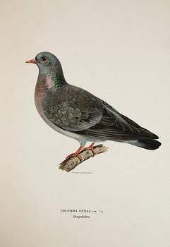 BÖCKER, 3 volymer, "Svenska Fåglar", M. W. & F. von Wright, Förlaget Svenska Fåglar, Stockholm, 1927-29,