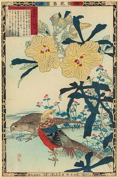 Bairei Kono (1844 - 1895), three coioured woodblock prints, Japan, second half of the 19th century.