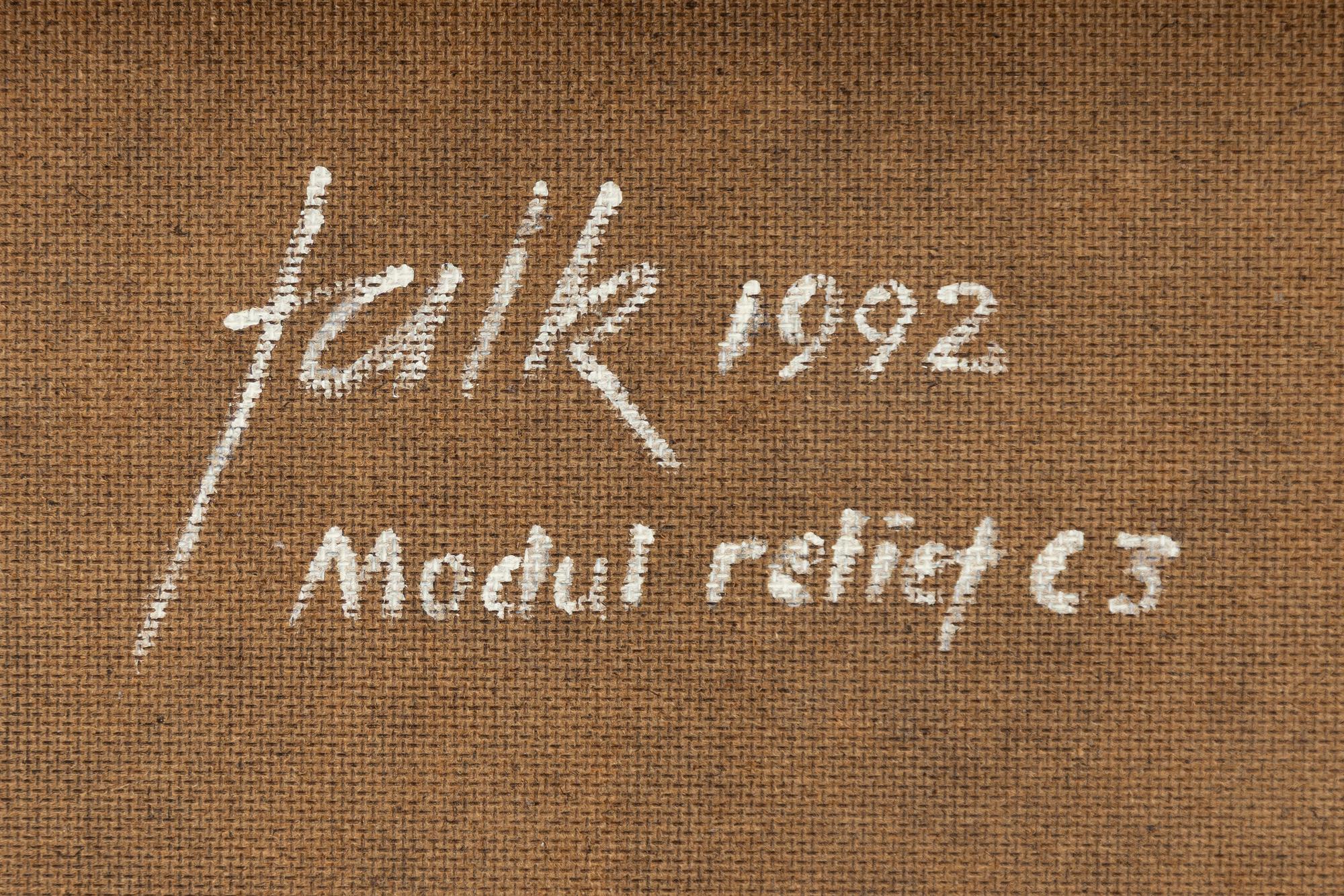 Lars Erik Falk, "Modul relief C3".