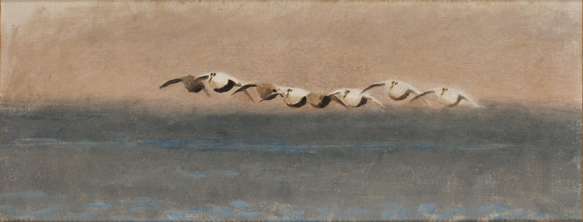 Bruno Liljefors, Sjöfåglar.