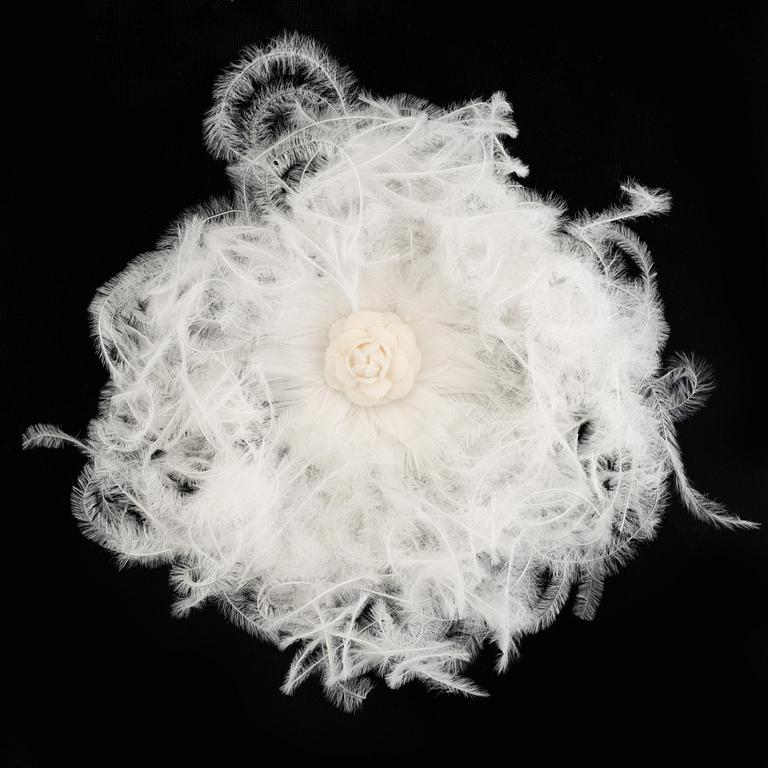 Chanel, a feather brooch.