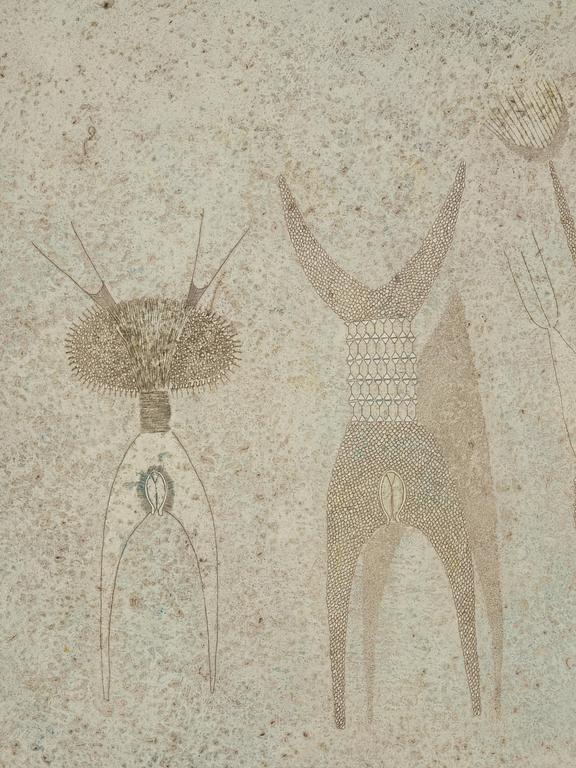 Thea Ekström, Untitled.