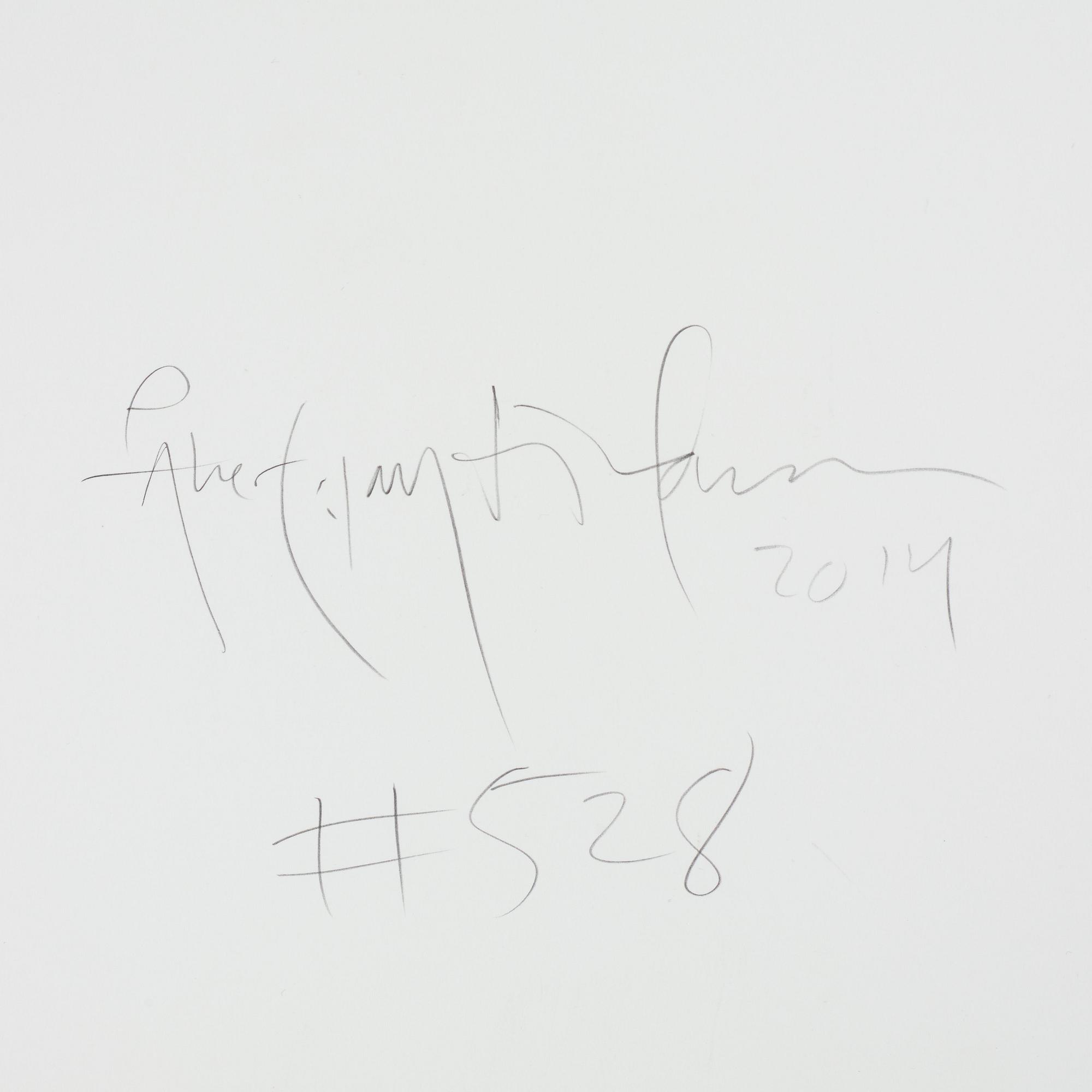 Åke E:son Lindman, "#528", 2014.