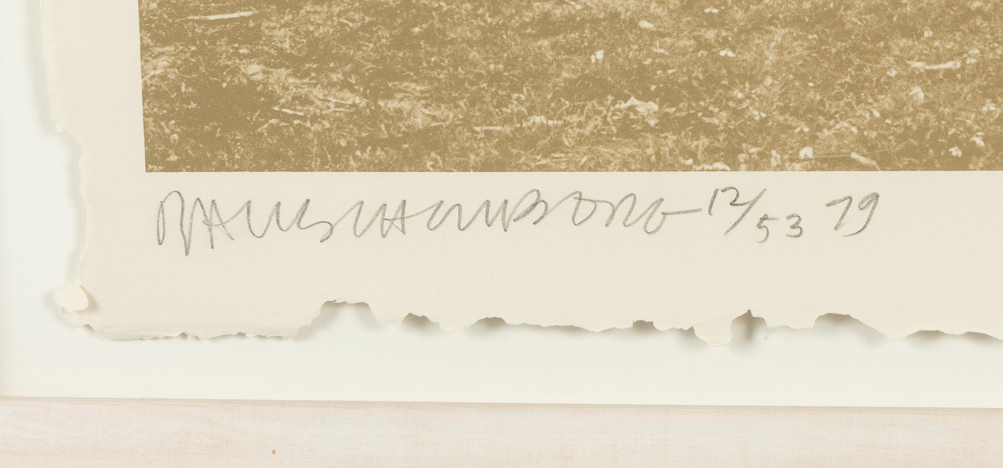 Robert Rauschenberg, "Mud Dauber" from Rockery Mounds.