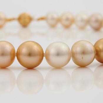 A NECKLACE of cultured South Sea pearls.