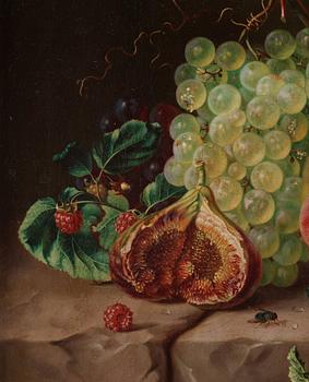 Amalie Kärcher, Still life with plums, figs, grapes, and insects.