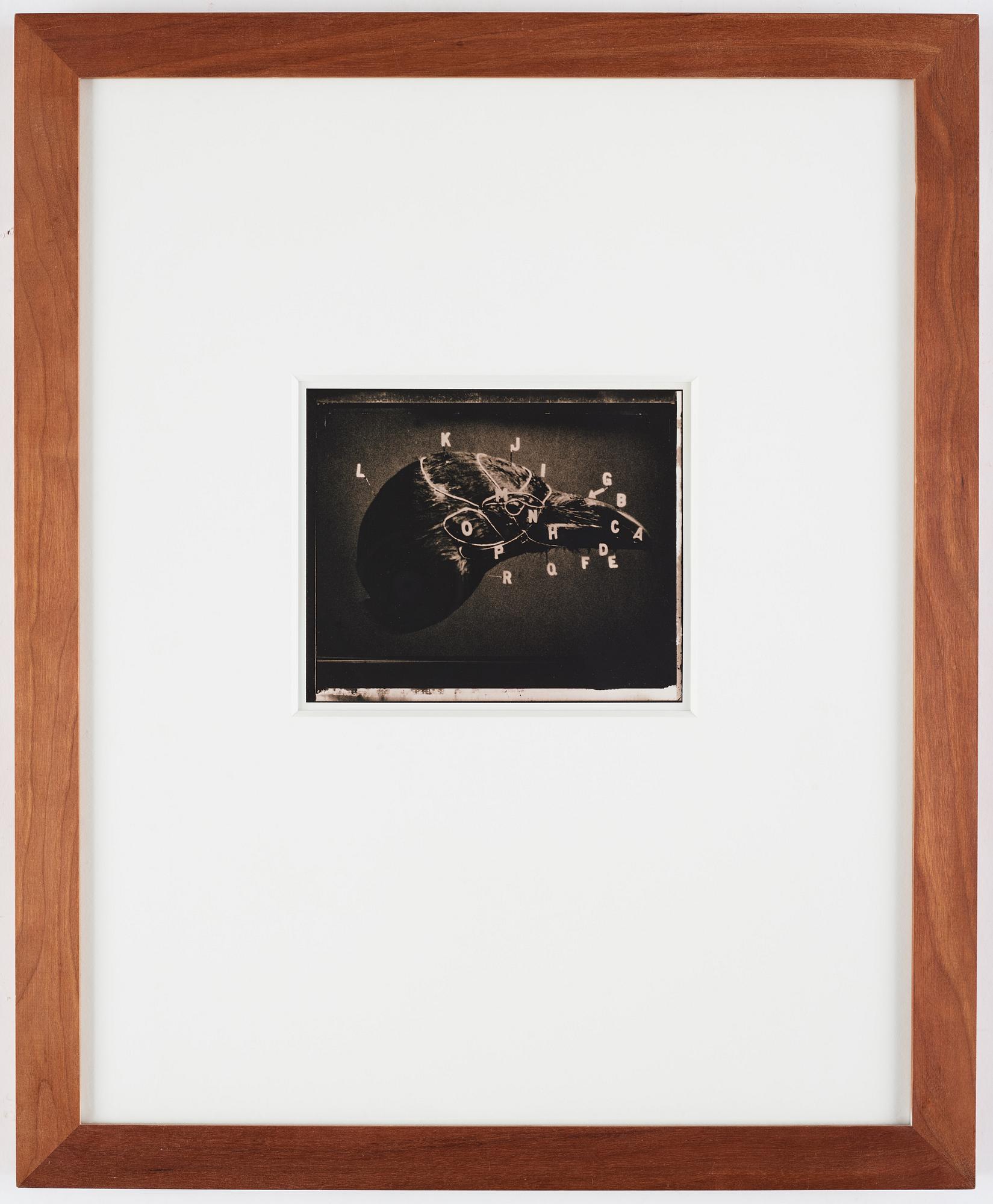 Linda Raskin, photograph signed and stamped on verso.