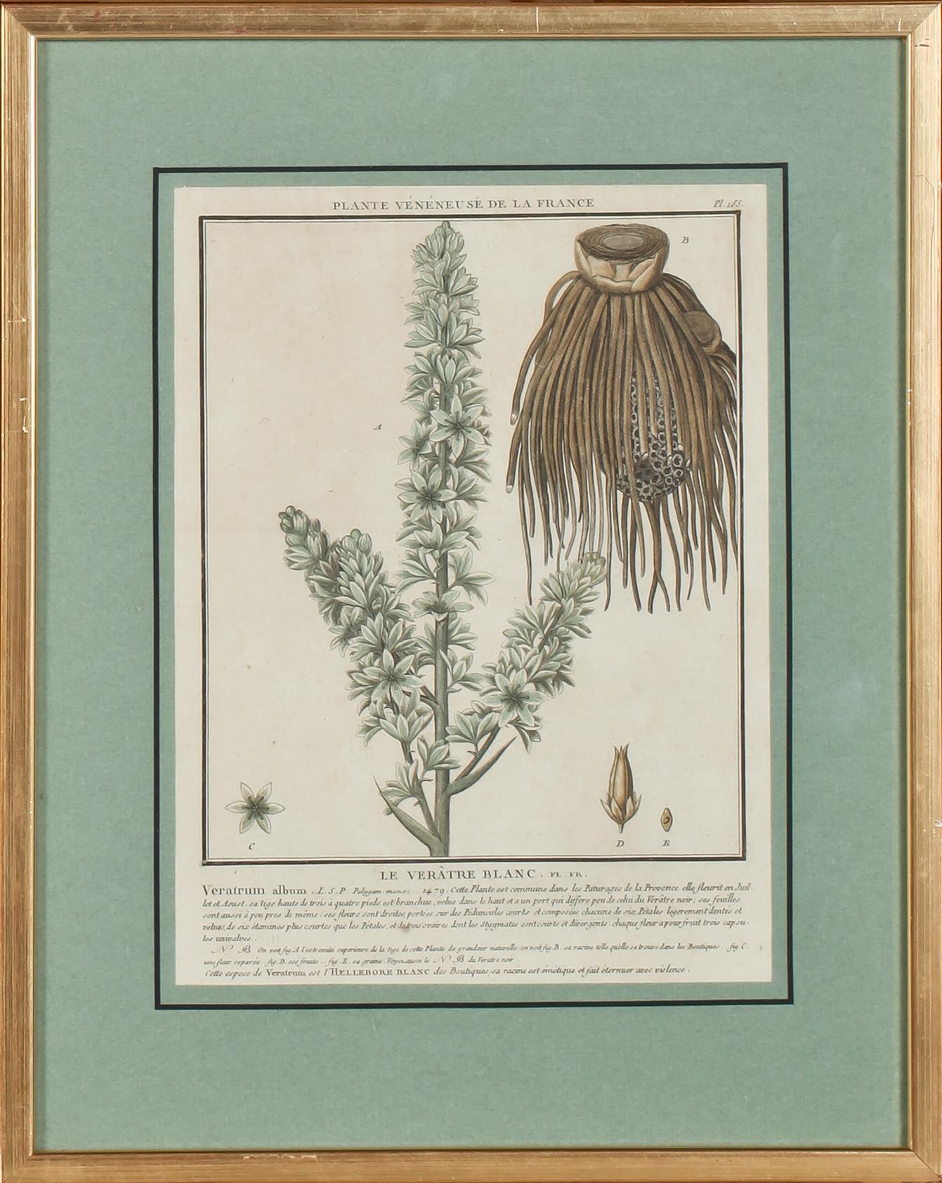 GRAFISKA BLAD, 4 st, kolorerade, 1700/1800-tal.