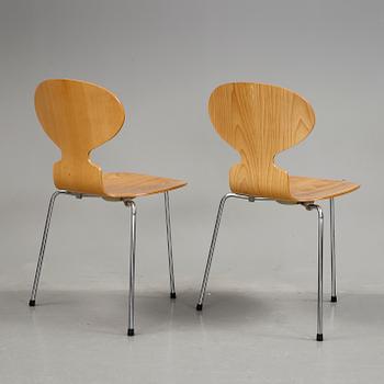 STOLAR, 7 stycken, "Myran", Arne Jacobsen, Fritz Hansen, 1900-talets fjärde kvartal.