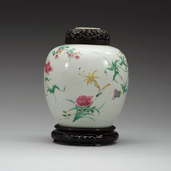 A famille rose jar, Qing dynasty 18th century.