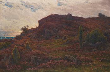 877. Ljunghed, Motiv från Arild.