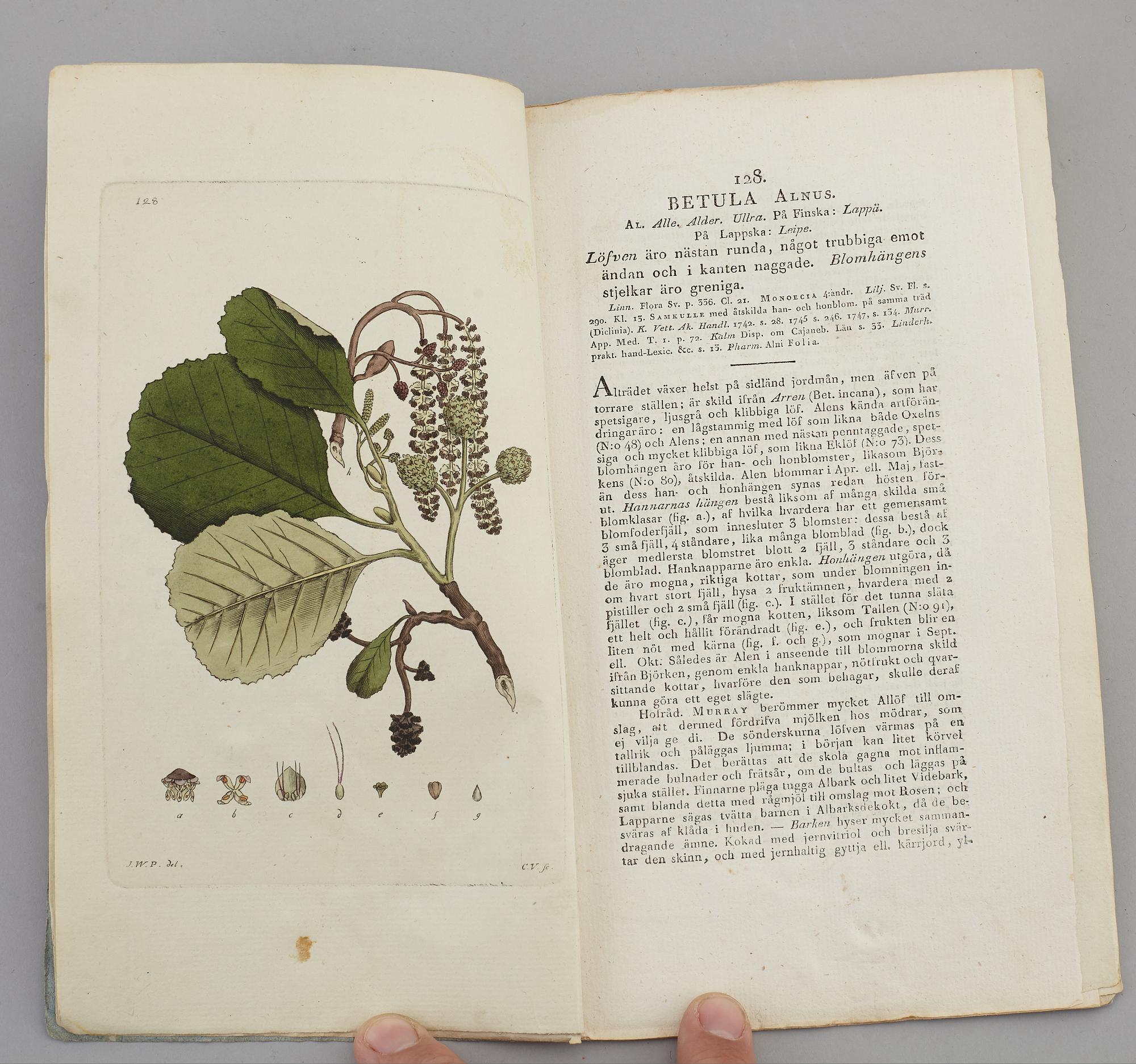 JOHAN WILHELM PALMSTRUCH, "Svensk Botanik, vol I-V. 1803-1805.