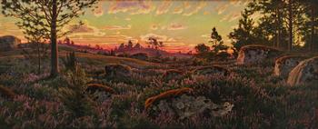 877. Johan Krouthén, "Ljungen" (Heather moorland).