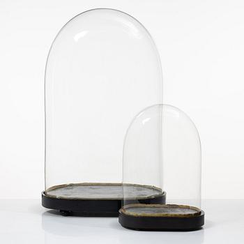 Two glass domes, 19th Century.