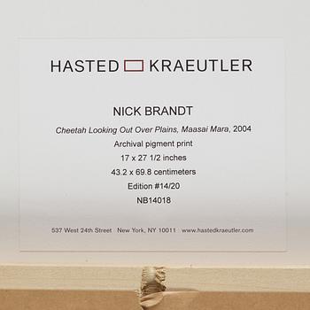 Nick Brandt, "Cheetah Looking Out over Plains, Masai Mara, 2004".