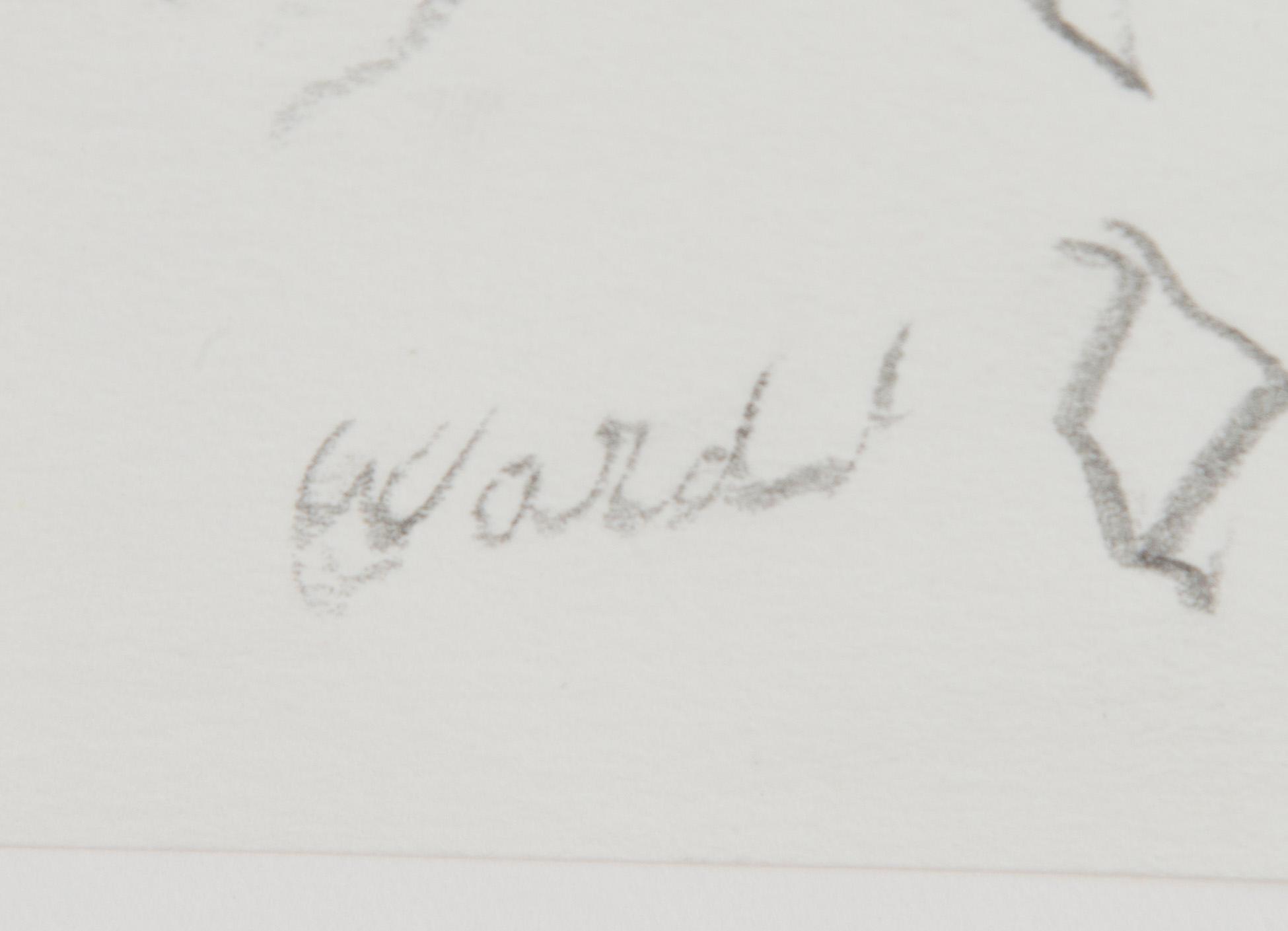 Rafael Wardi, Polku.