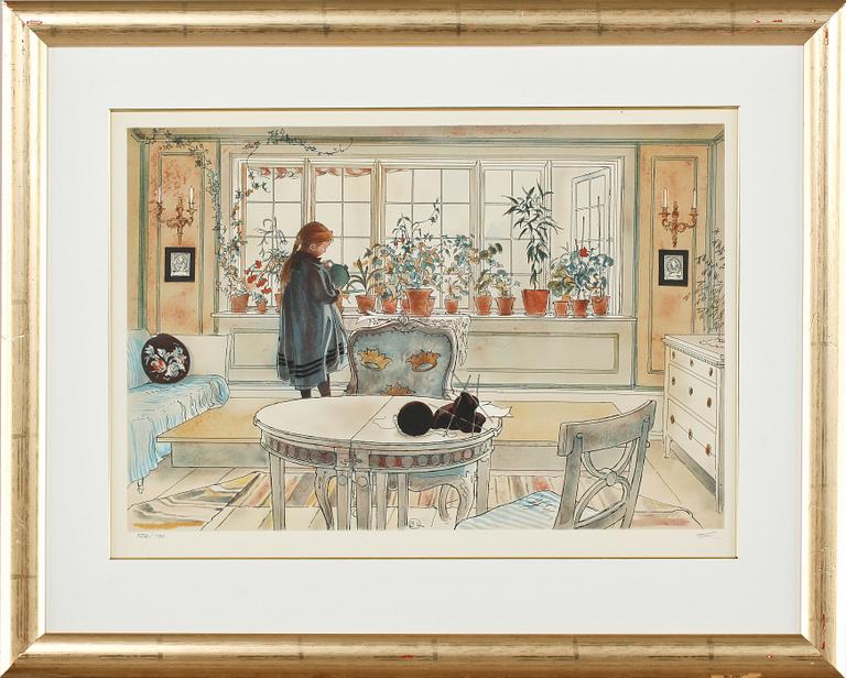 CARL LARSSON, efter, färglitografi, signerad i trycket, numrerad 328/790.