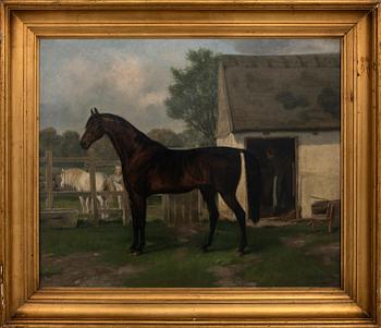 Simon Simonsen, Horse Portrait.