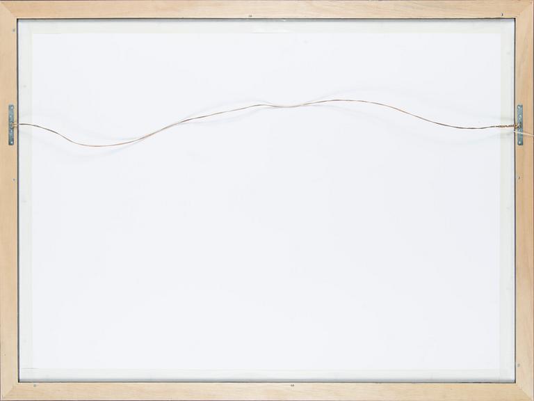 Juhani Linnovaara, "Suuri Amazon".