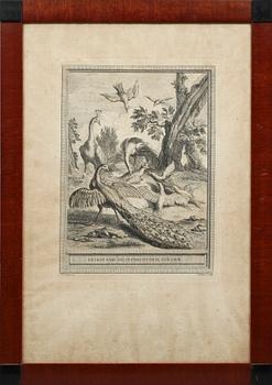 KOPPARSTICK, 2 st, 1800-tal.