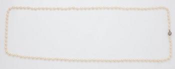 A cultured pearl necklace.