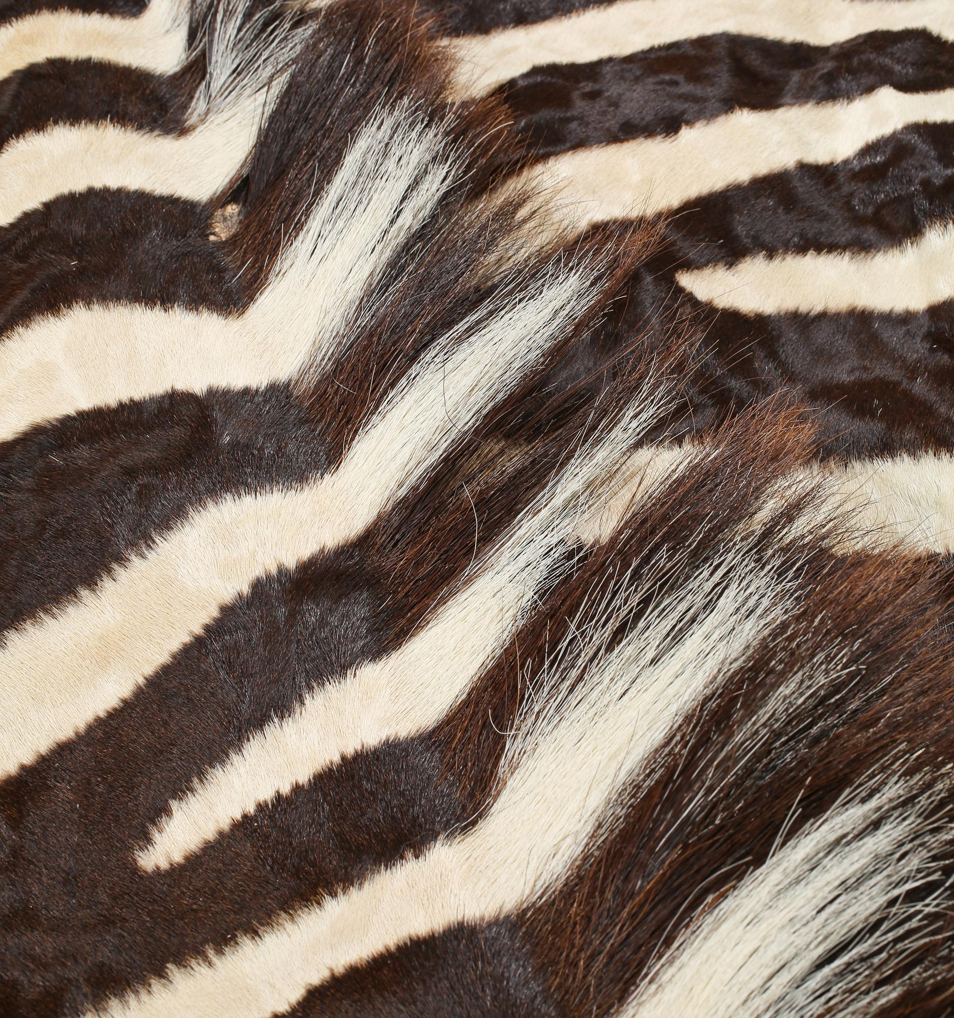 ZEBRASKINN, Namibia, 1988.