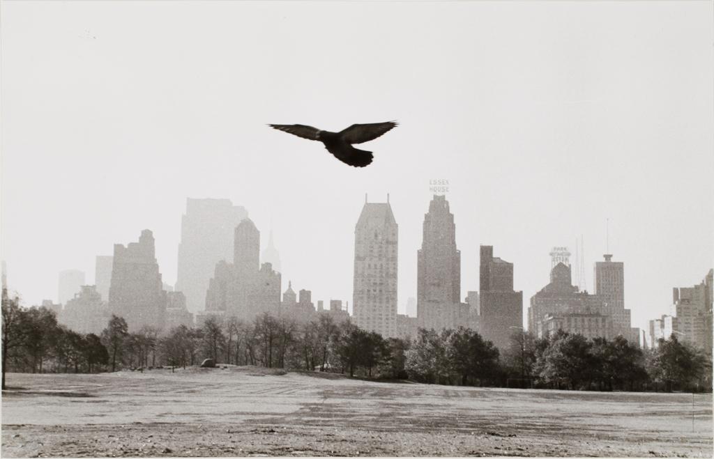 TORE JONSSON, silvergelatinfotografi, vintage, från Central Park, New York, cirka 1955.